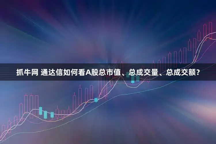 抓牛网 通达信如何看A股总市值、总成交量、总成交额?