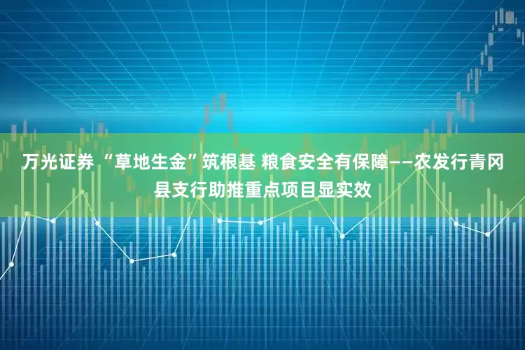 万光证券 “草地生金”筑根基 粮食安全有保障——农发行青冈县支行助推重点项目显实效