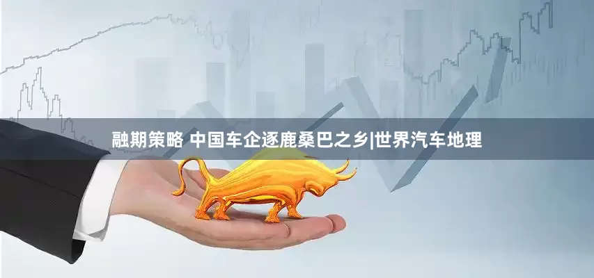 融期策略 中国车企逐鹿桑巴之乡|世界汽车地理