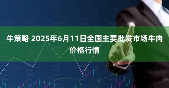 牛策略 2025年6月11日全国主要批发市场牛肉价格行情