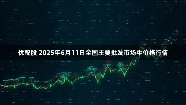 优配股 2025年6月11日全国主要批发市场牛价格行情