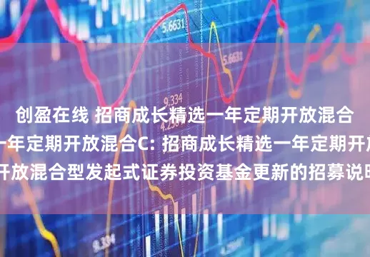 创盈在线 招商成长精选一年定期开放混合A,招商成长精选一年定期开放混合C: 招商成长精选一年定期开放混合型发起式证券投资基金更新的招募说明书(二零二五年第一号)