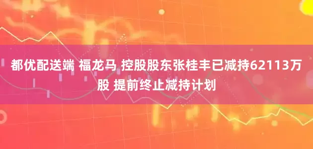 都优配送端 福龙马 控股股东张桂丰已减持62113万股 提前终止减持计划