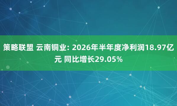策略联盟 云南铜业: 2026年半年度净利润18.97亿元 同比增长29.05%